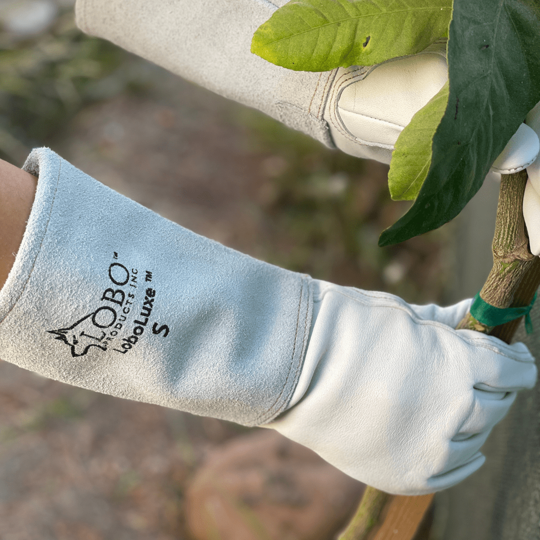 LoboLuxe™ Series Long Cuff Goatskin Gloves - Pair