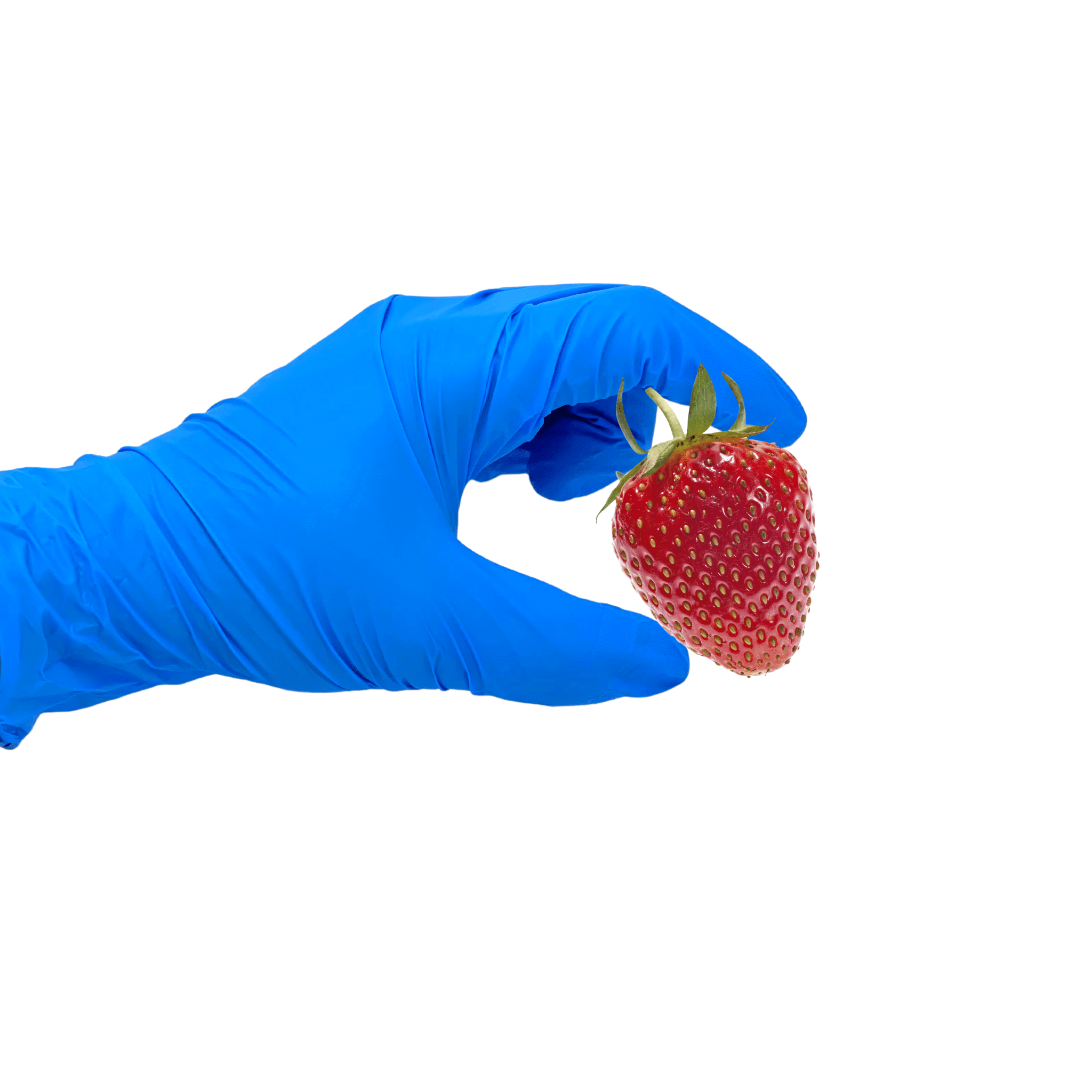 Nitrile Gloves 4 Mil Powder Free Nitrile Examination Gloves for Strawberries