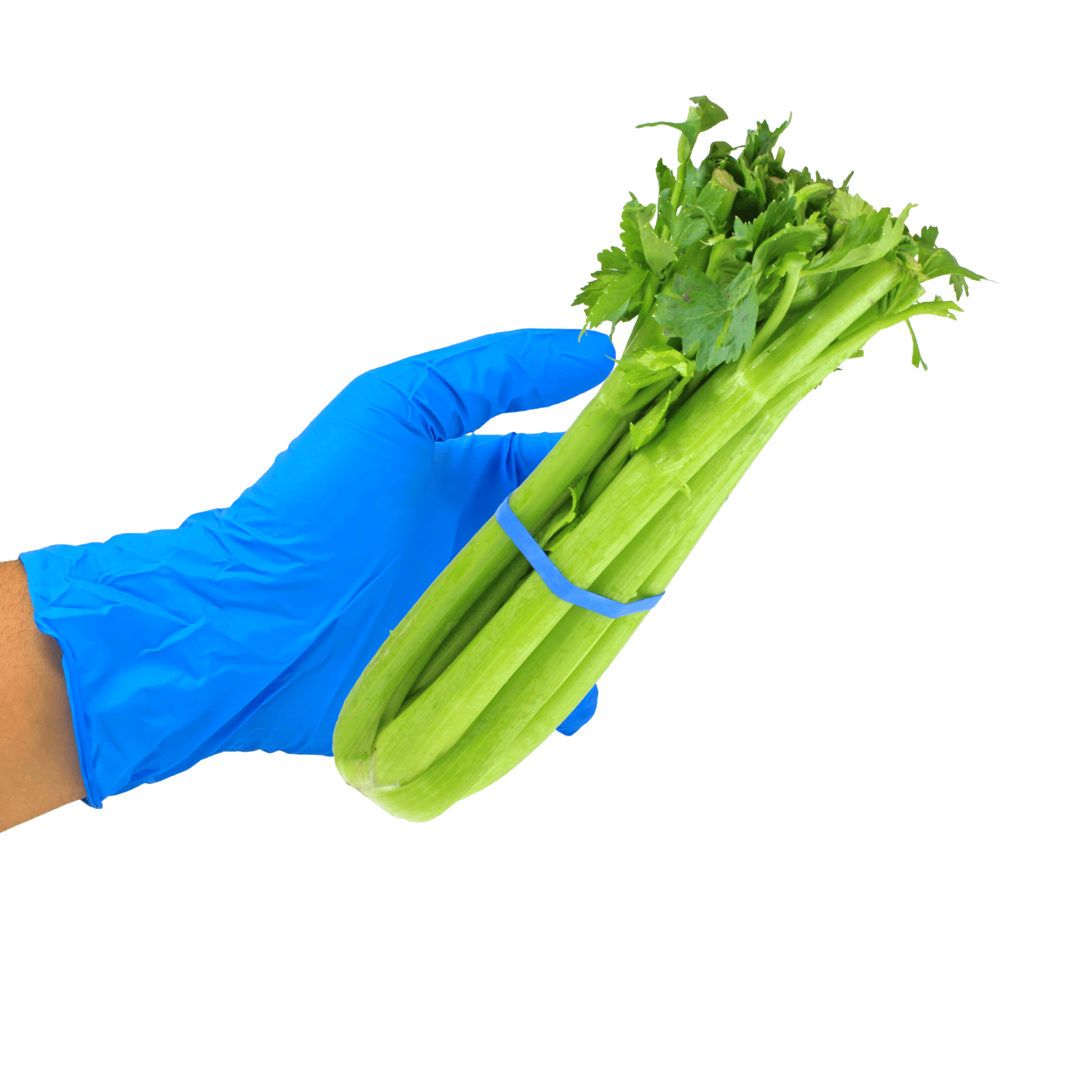 Nitrile Gloves 4 Mil Powder Free Nitrile Examination Gloves for Celery