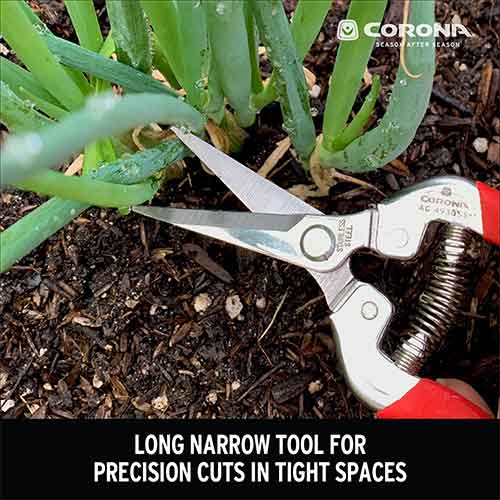 Stainless Steel Long Curved Snips - Corona AG4940SS - 1.75" Blade