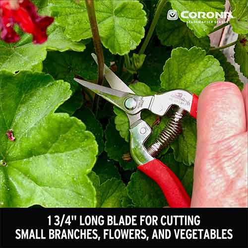 Stainless Steel Long Curved Snips - Corona AG4940SS - 1.75" Blade