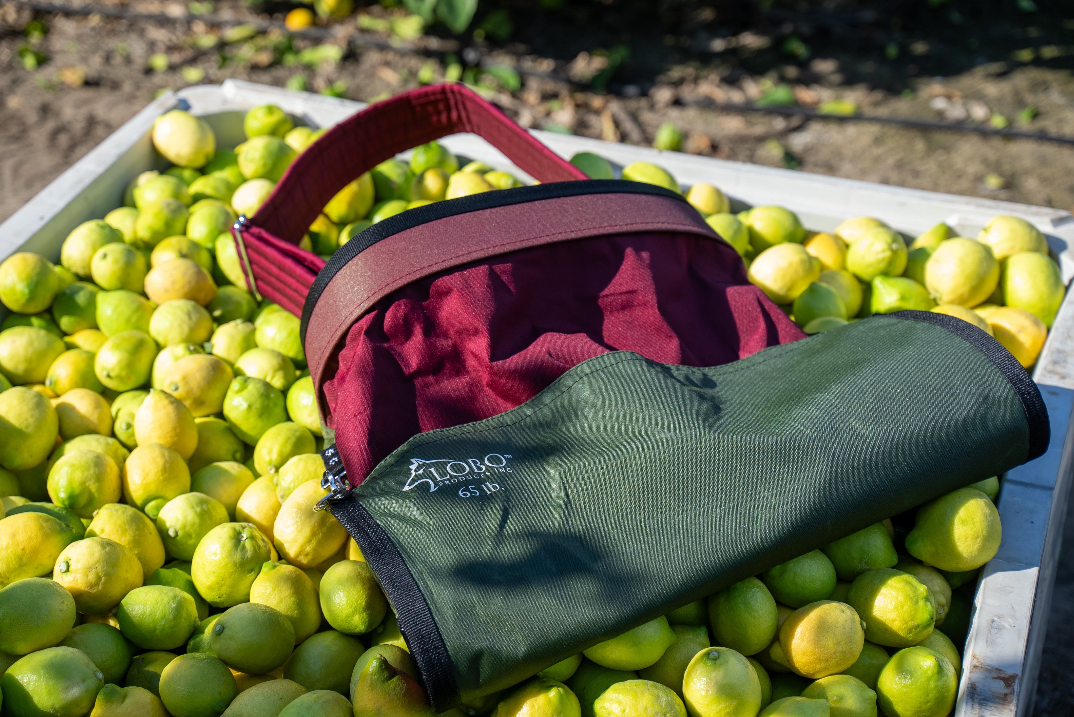 Lobo Fruit Picking Bag - Citrus Bag