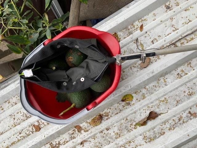 Pull and Cut Avocado Picker - Fruit Picker Head with Bag and Clamps